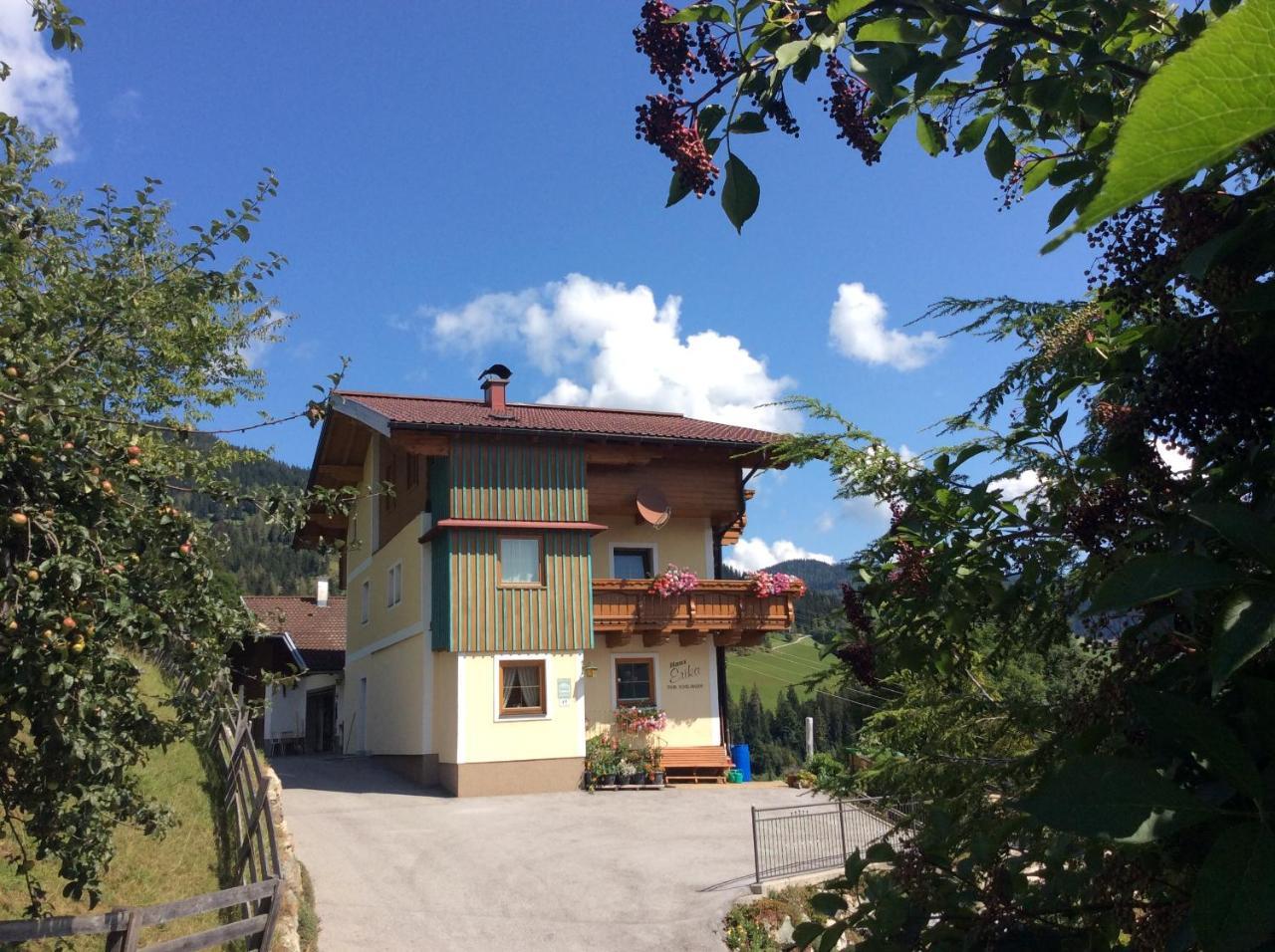 Haus Erika Apartment Wagrain Exterior foto