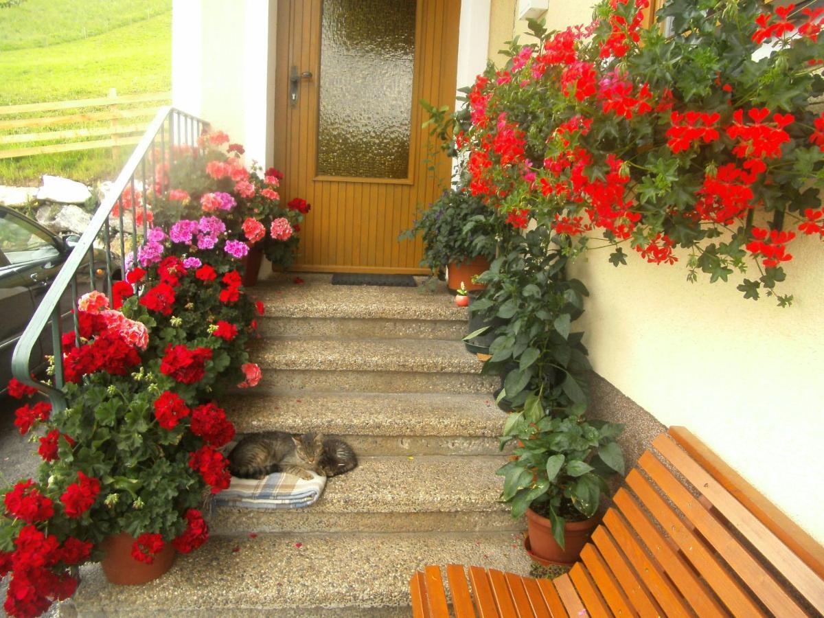 Haus Erika Apartment Wagrain Exterior foto